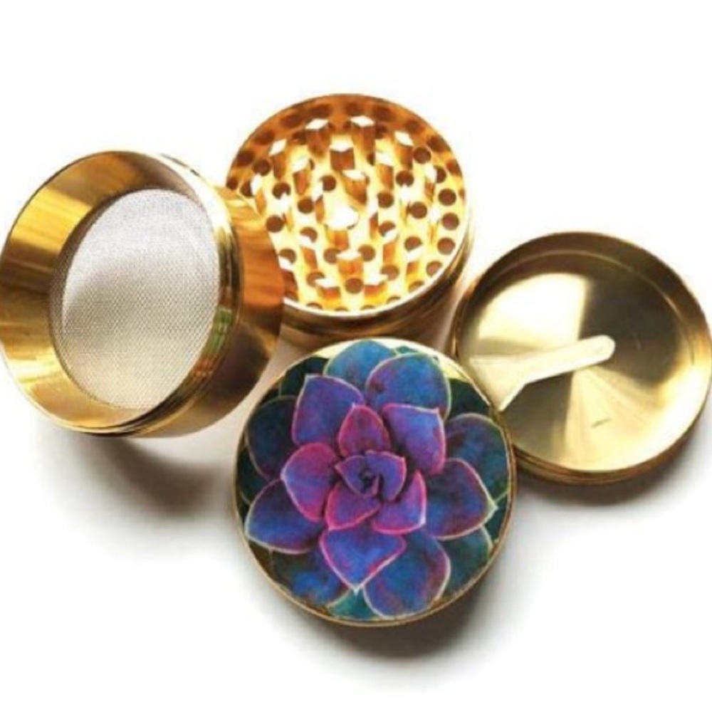 Cutie Cactus Grinder 🐛